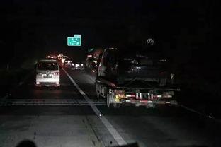 成人高速视频短片